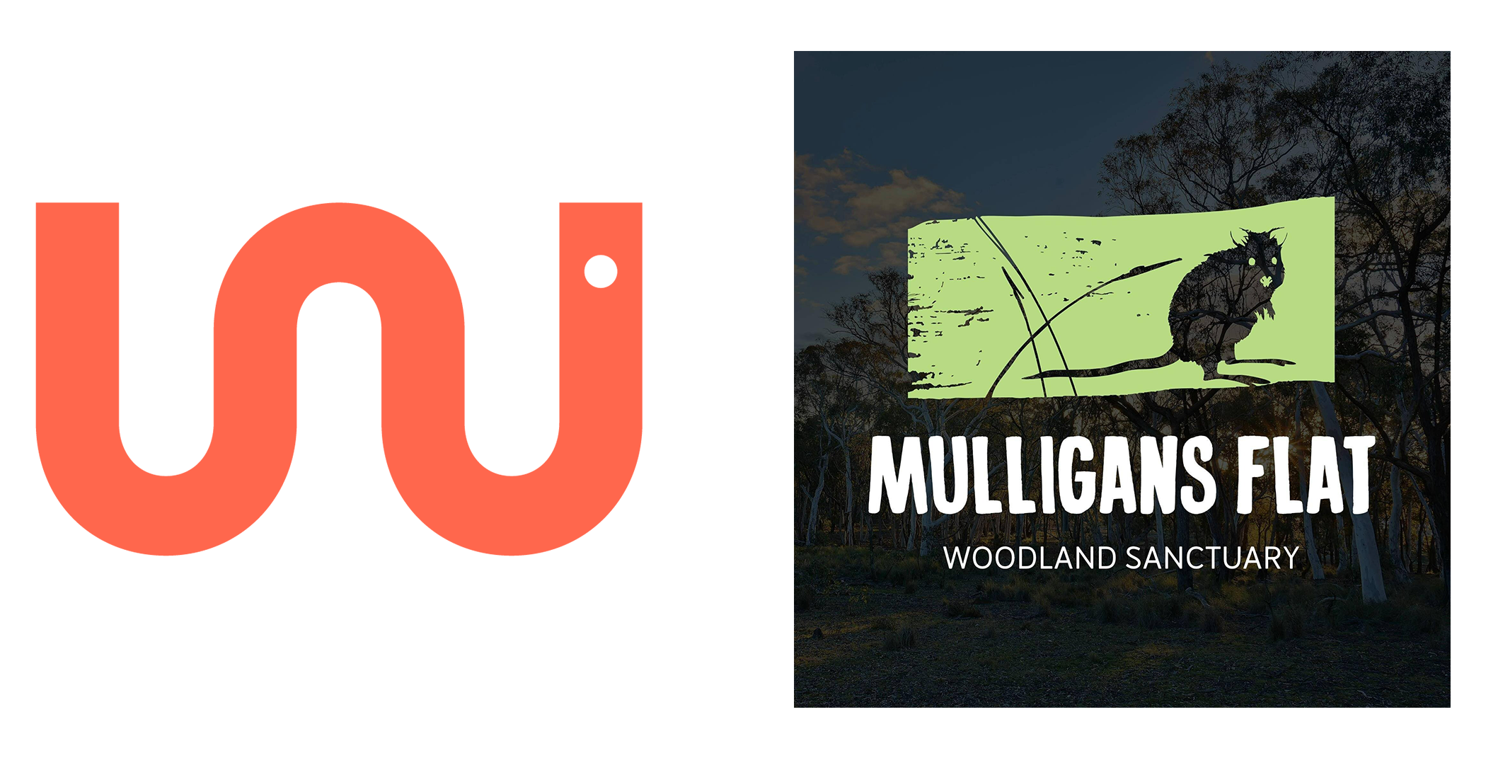 two logos side by side - Wildbark orange logo and Mulligans Flat woodland Sanctuary logo