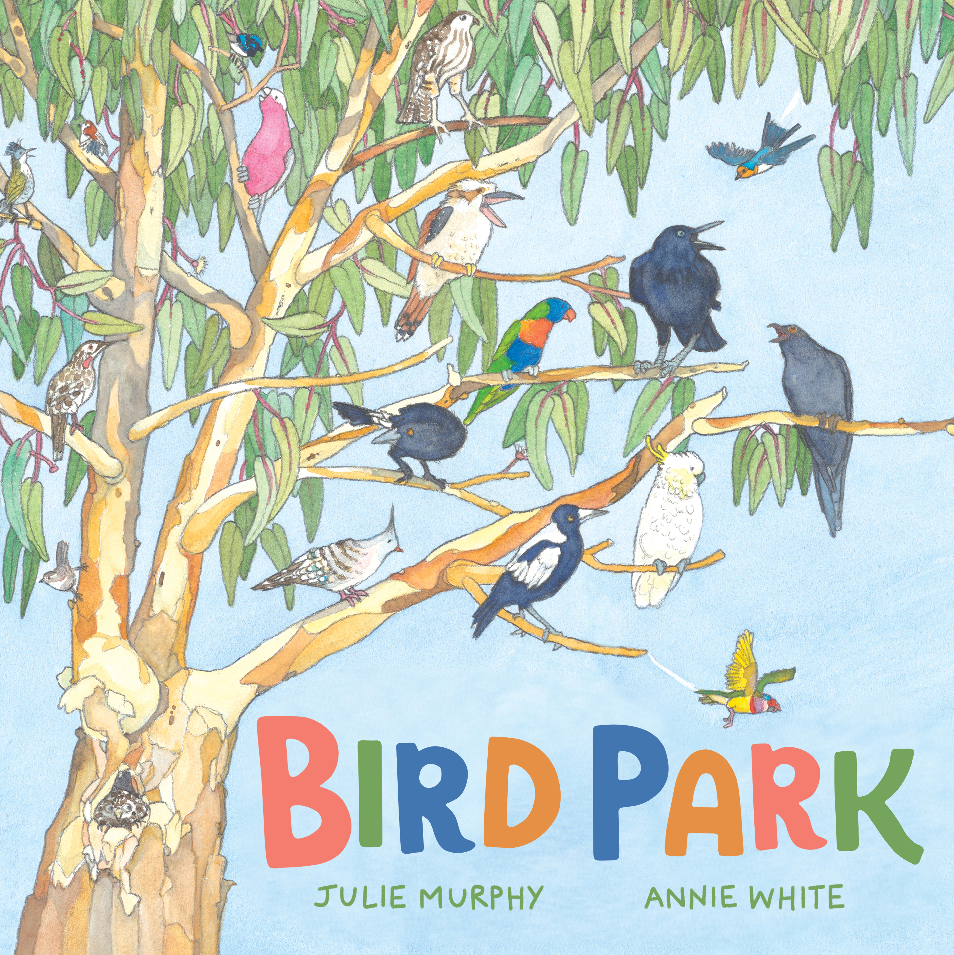 A colorful illustration of many different birds perched on the branches of a large tree with green leaves against a light blue sky. The title 'BIRD PARK' is displayed prominently in multi-colored letters at the bottom, with the names Julie Murphy and Annie White underneath.