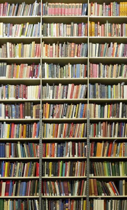 Shelves of hundreds of colourful books