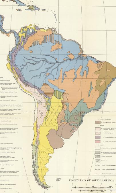 Map of South America with different coours representing different types of vegetation