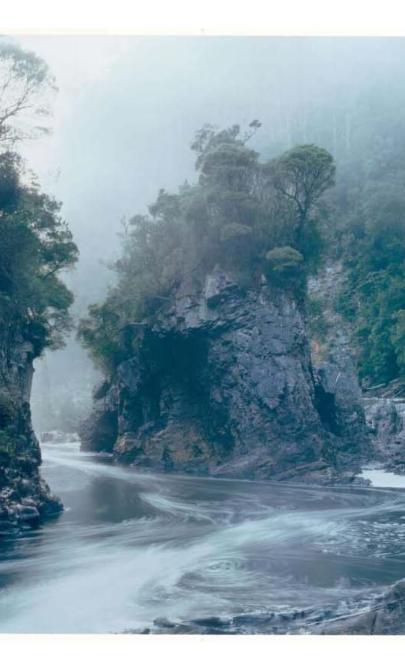 Tasmanian cliffs and vegetation