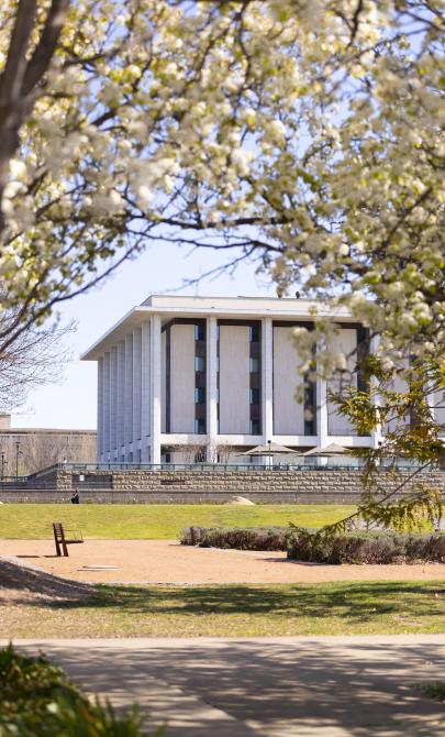 Library building seen from a distance, with white blossom branches making an arc above 