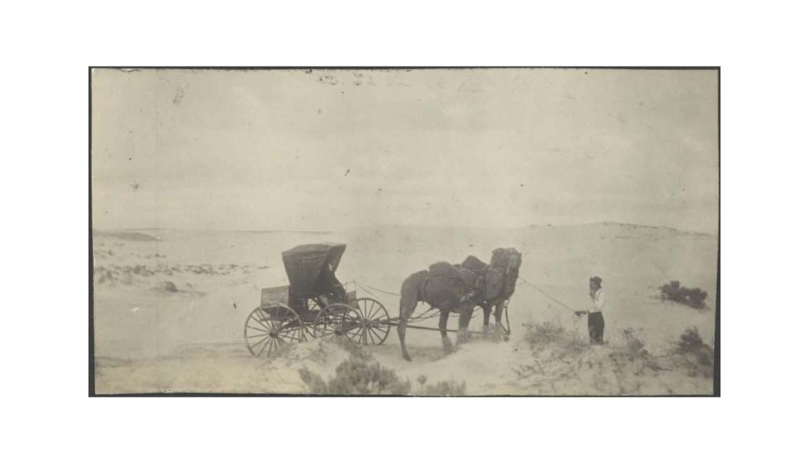 A photo of a man leading a camel-drawn carriage across desert sand dunes in South Australia.