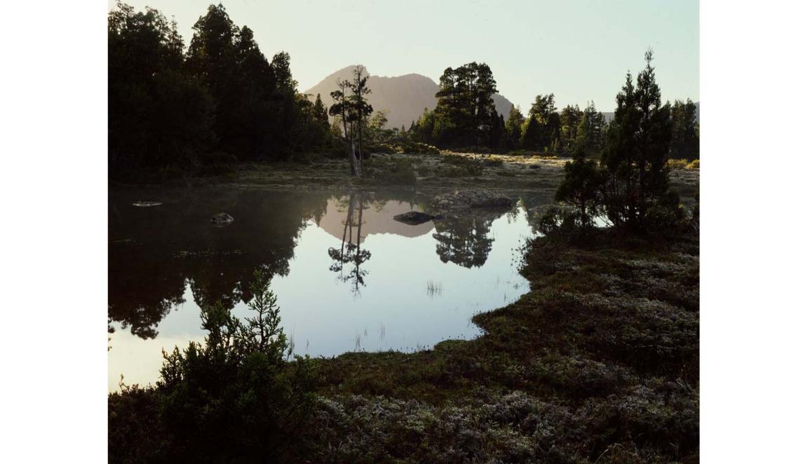 A landscape photograph of a marshy lake area. A mountain can be seen in the mist in the background. The trees and mountain are reflected in the still water of the lake.
