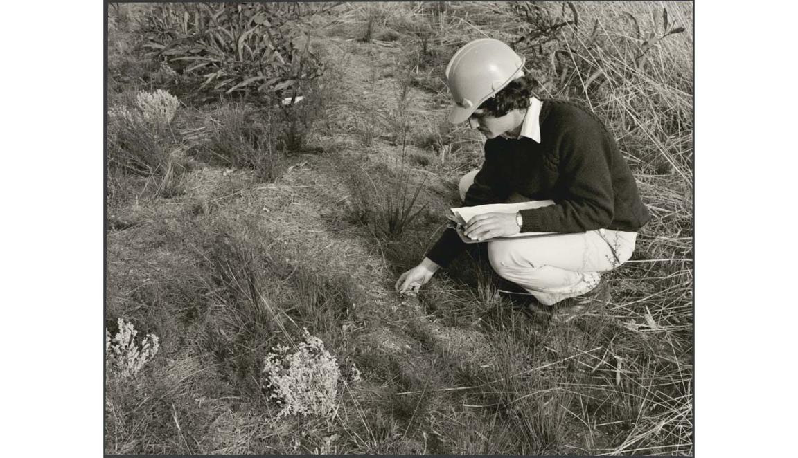 man squatting down studying plants