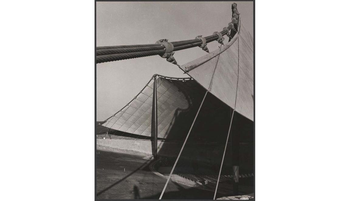 An abstract photograph of the Sidney Myer Music Bowl showing the steel cable supports holding up the sail-like roof