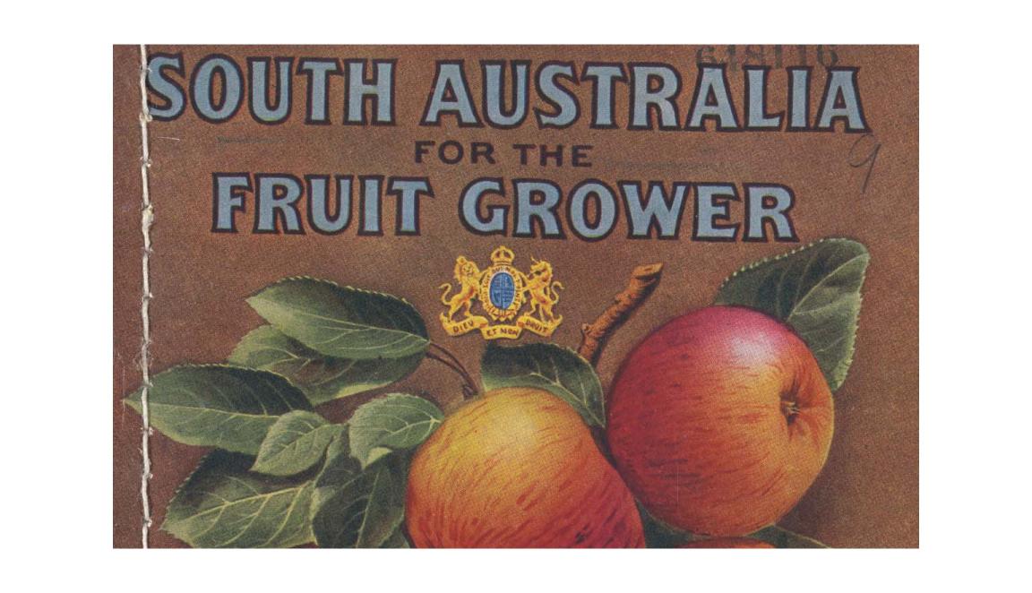 Blue and black text reading 'South Australia for the fruit grower' and a detailed illustration of apples on a leafy branch