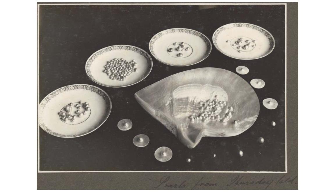 Pearls in cut oyster shells and bowls