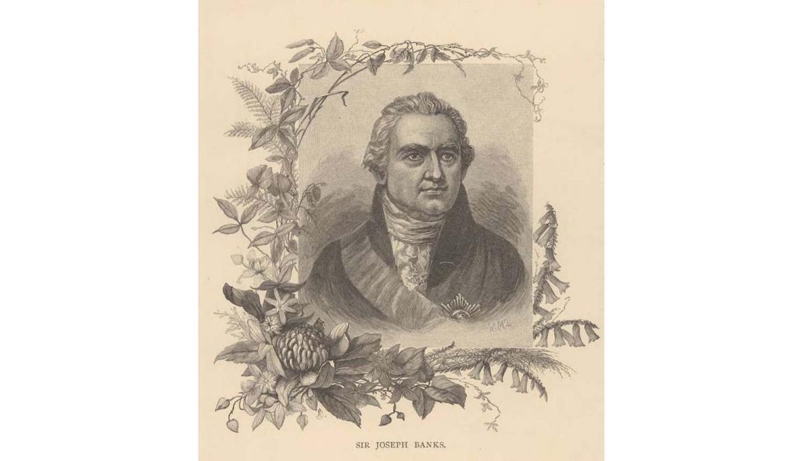 wood engraving of man bordered by Australian flora