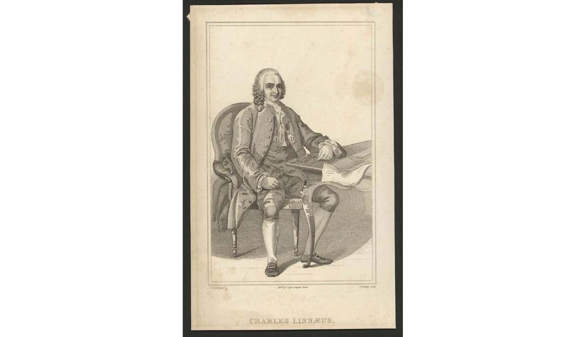 Etching of a man with papers sitting at an ornate table