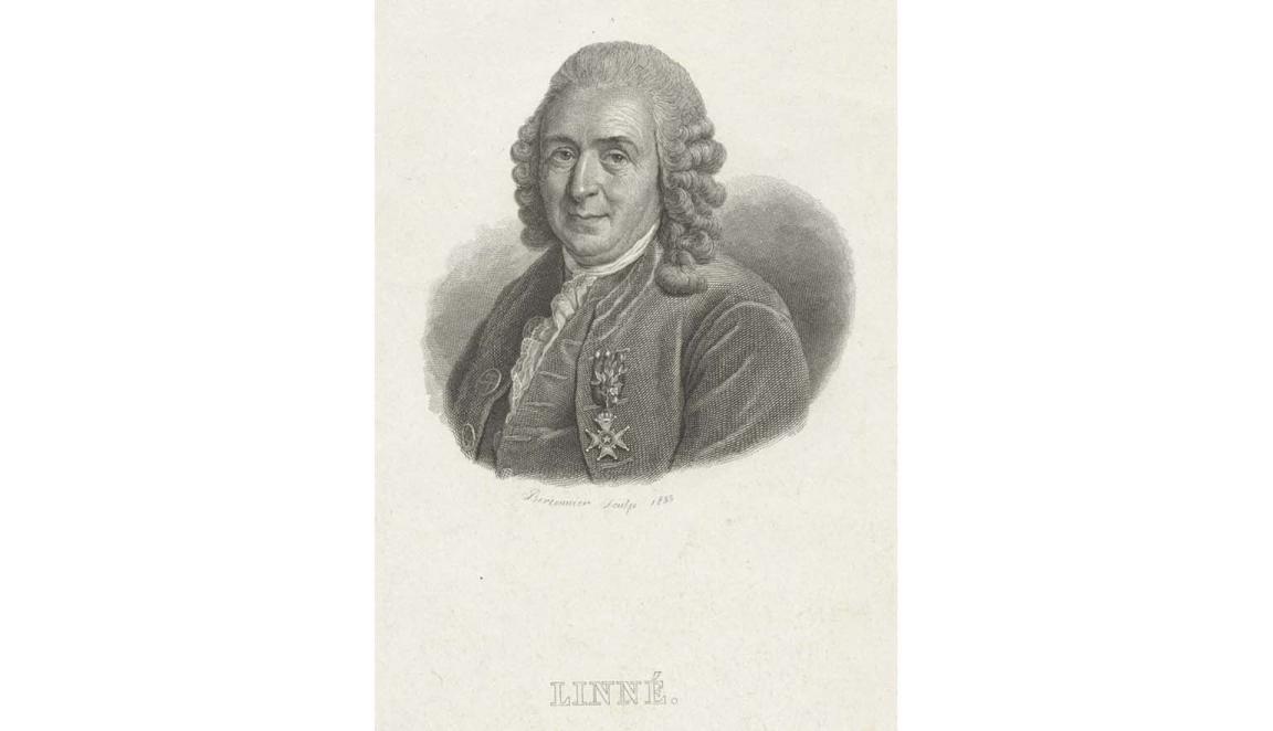 engraving of a man with a medal