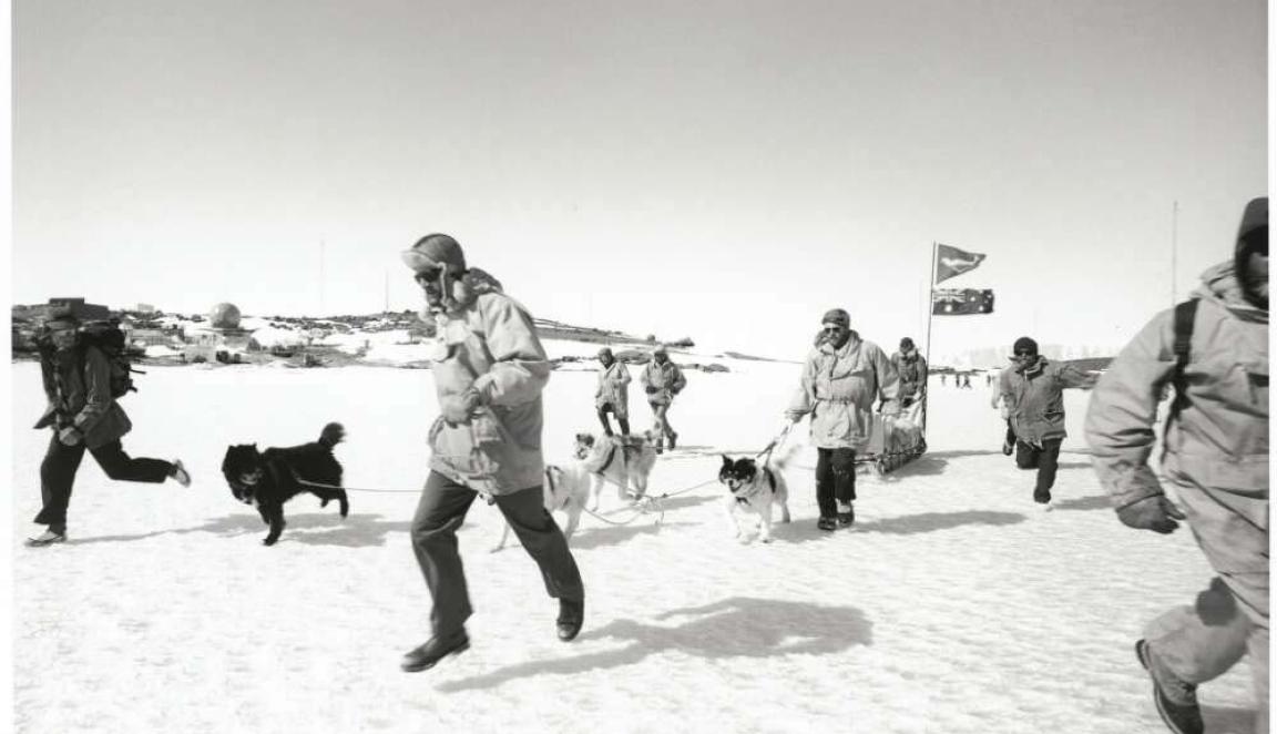 Black and white photo of men and dogs running on snow
