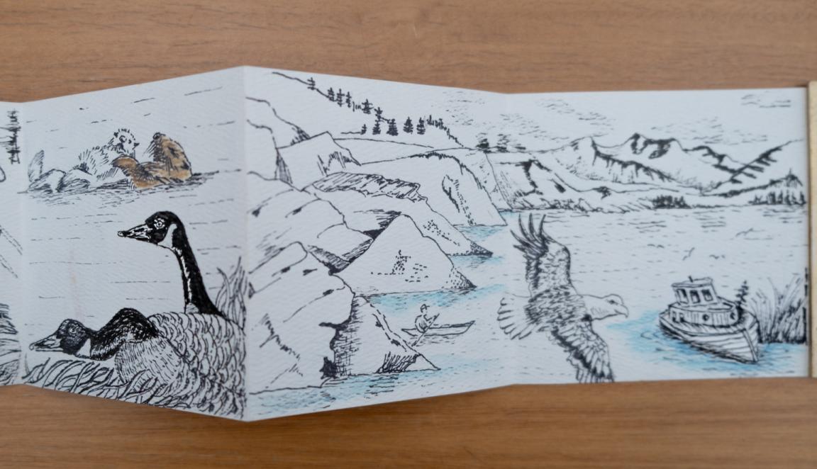 Fold-out travel diary open to four pages with black and white illustrations of otters, birds and mountains in Alaska