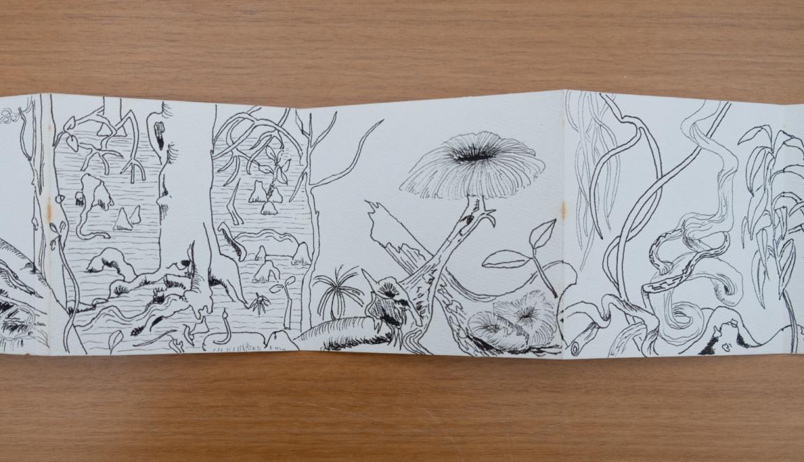 Fold-out travel diary open to three pages with black and white illustrations of trees, vines and other plants from Far North Queensland