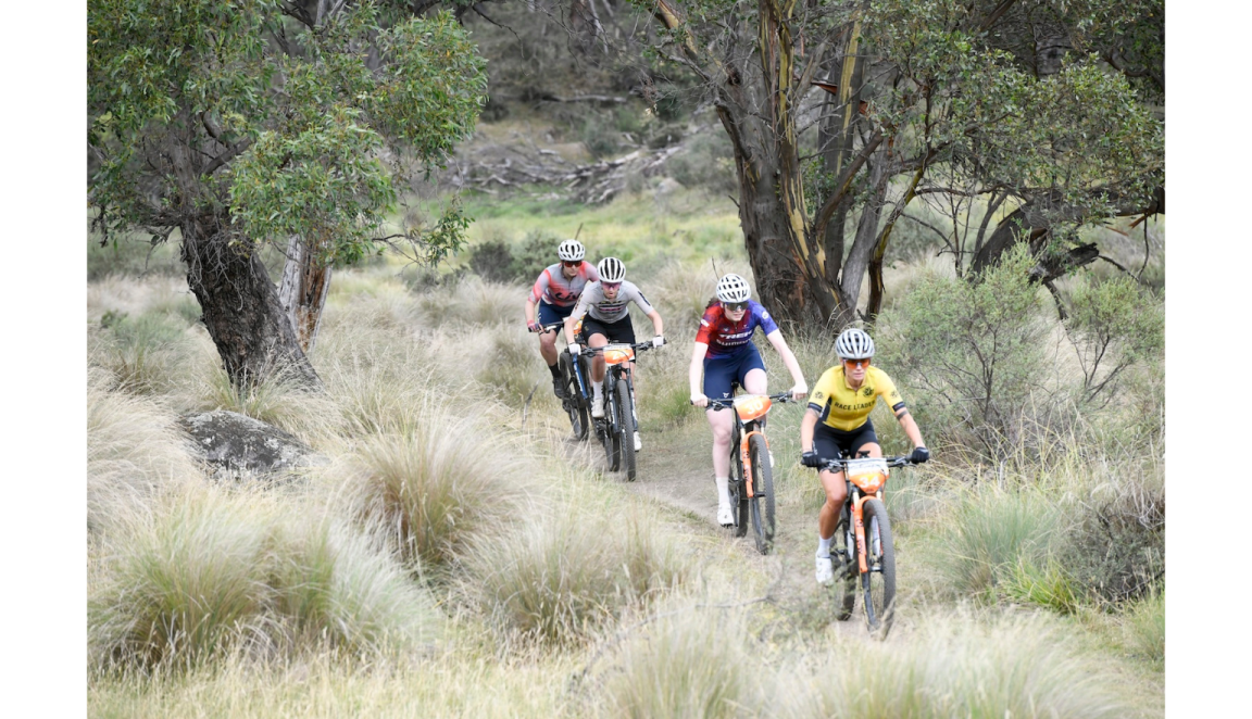 Mountain bikers racing through a dirt path in a grassy field
