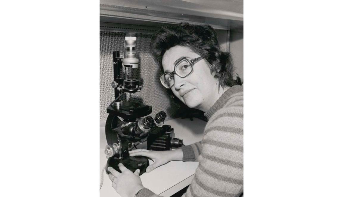 Dr Margaret Stanley at a microscope