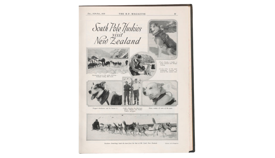 article about South Pole Huskies visiting New Zealand
