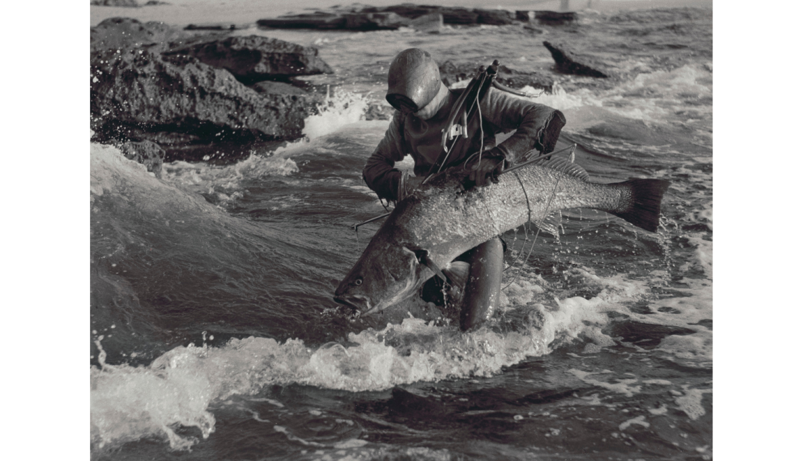 A spearfisher in a wetsuit stands in the surf holding a large fish. Waves crash against rocks in the background as the person steadies themselves in the water.