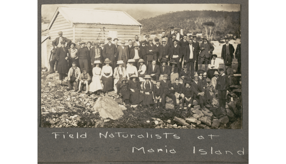 One black and white photograph of a large group of men, women and children from a Tasmanian field expedition in 1912.