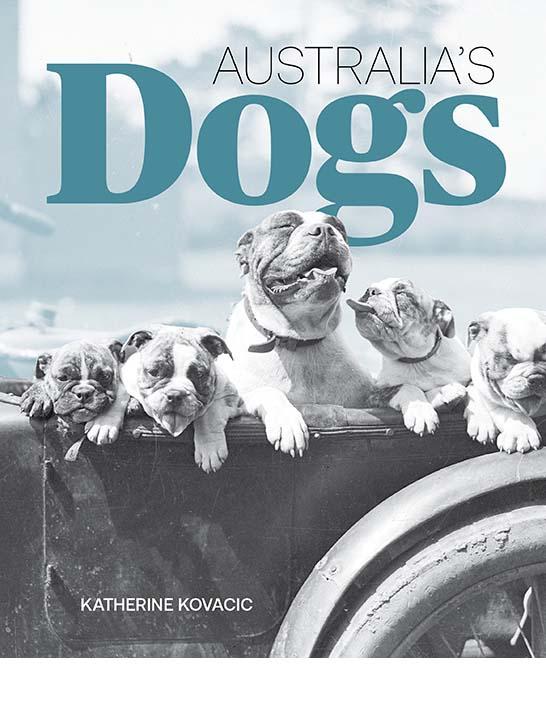 Cover of the book 'Australia's Dogs'