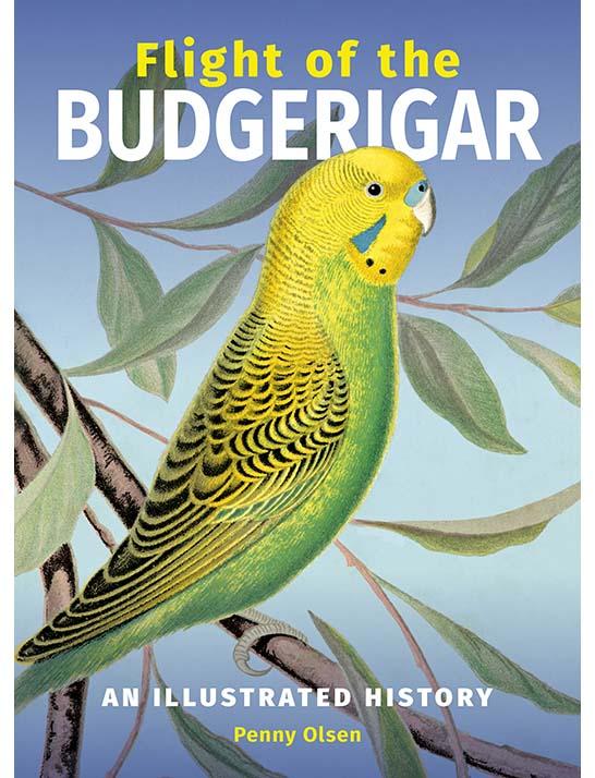 Cover of the book 'Flight of the Budgerigar'