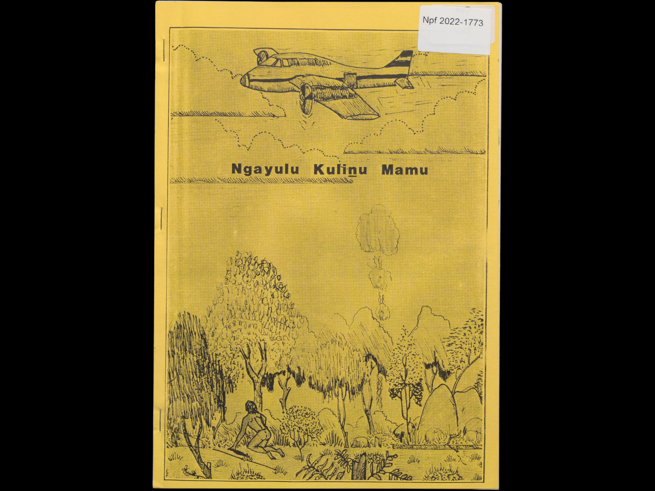  The cover of a book featuring an illustration of a plane flying over bushland. A person is looking up at the plane as it flies over.