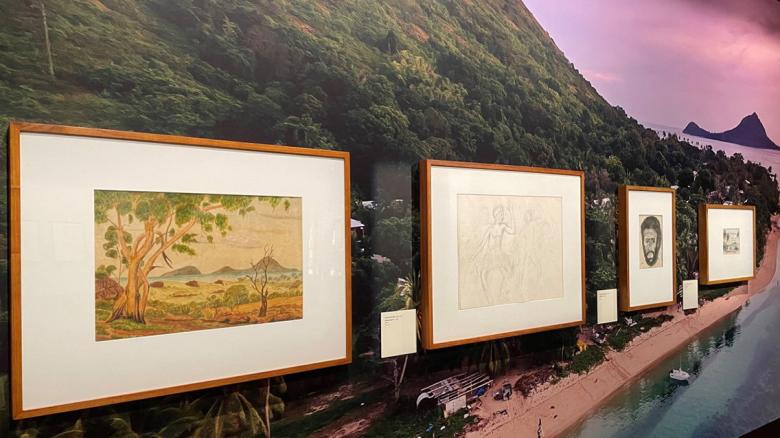 Four framed pictures hanging on a wall that has an image of an island on it.