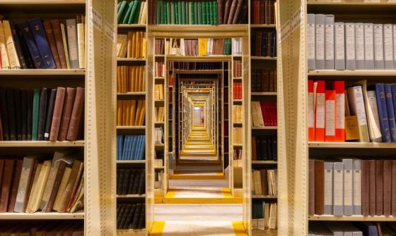 Rows of shelves filled with colourful books and doorways lined down the middle