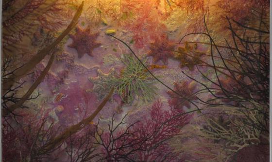 A collage of green and purple plant matter, aluminium and perspex, lit from above by a warm, yellow internal light.