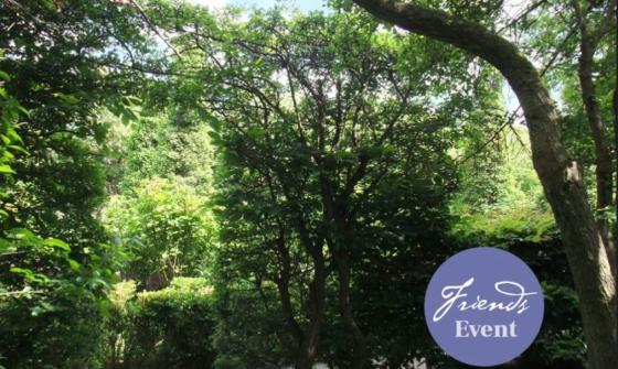 Overgrowing Canberra whats on