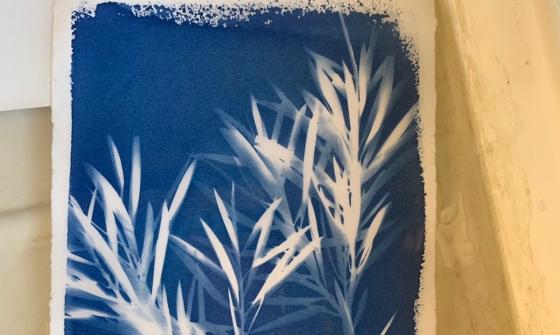 Whats On January School Holidays Image