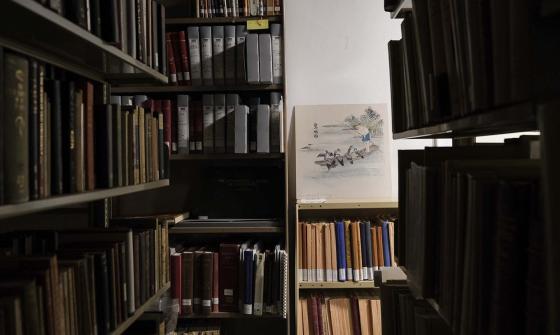 Shelves containing books and journals and a picture of a man in a boat looking at birds that sit on the sides of the boat