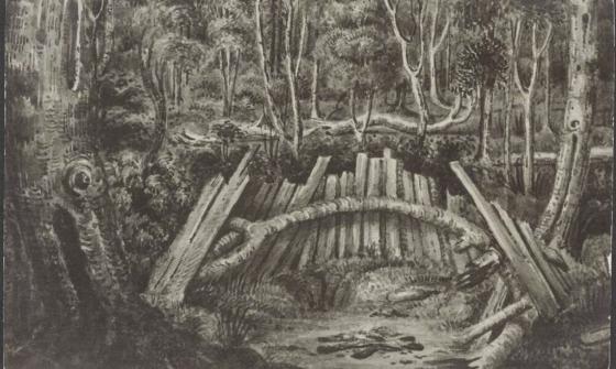 A black-and-white postcard depicting a forest scene with a large wooden structure resembling a natural shelter or barricade. The structure is made from wooden logs and branches, arranged in a semi-circle or arch. The dense forest in the background features tall trees, ferns, and thick underbrush, creating a secluded and mysterious atmosphere. The ground appears rough, with scattered debris and fallen logs. The image is reminiscent of a hidden or protected space within the wilderness.