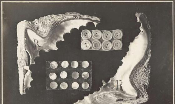 A black and white photo showing how two half shells and the round pieces cut out of them