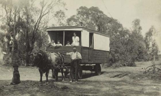 Man steering a large male cow that is pulling a wagon with his wife and children inside