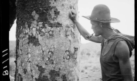 Man resting a hand on a tree and looking at a message carved into the tree trunk