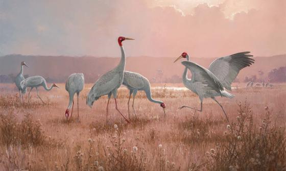 A painting of five crane birds standing on a grassy surface with mountains in the background.