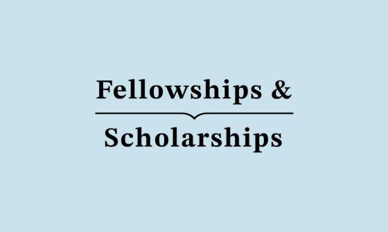 Fellowships & scholarships
