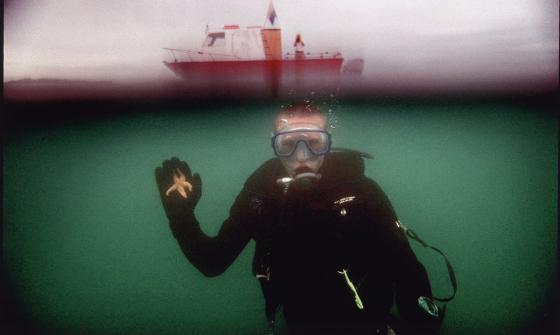 starfish diver Simon O'Dwyer