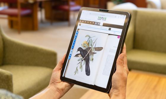 A person holds a tablet displaying an illustration of a bird on Trove. The background shows the Library's soft seating and wooden furniture.