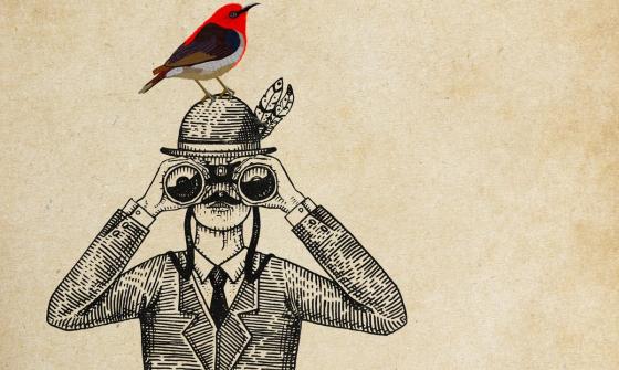 whats on what birdo is that event image