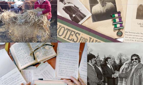 A collage of 4 photos: A woman handles hay with cattle behind her, Old photos of women and a medal, Glasses, hands, notes on open books, Five men standing as two shake hands