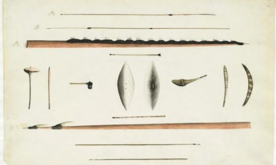 A detailed drawing of various hunting implements and weapons. The illustration includes spears, shields, boomerangs, clubs, and other tools, arranged in a grid-like pattern on a plain background. Each item is depicted with precise lines and shading, with some labelled using letters A and B.