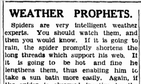 Clipping of a newspaper article titled 'Weather Prophets'.