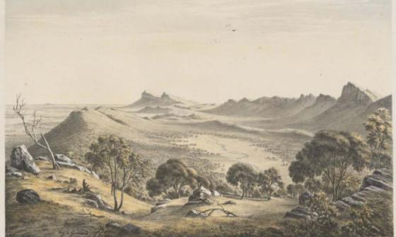 painting of Australian bush landscape