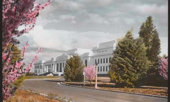 Photo of Old Parliament House, Canberra, with pink blossoms on surrounding trees