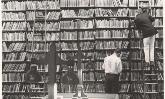 Two men, one on a ladder, looking at books on large bookshelf at the State Library of Victoria