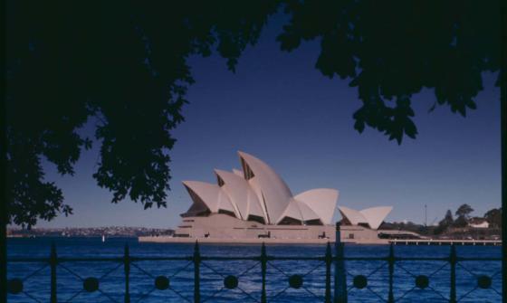 A photograph of the Sydney Opera House during the day. The Opera House is framed by the hanging branches of a large tree. In the foreground is a wrought iron fence.