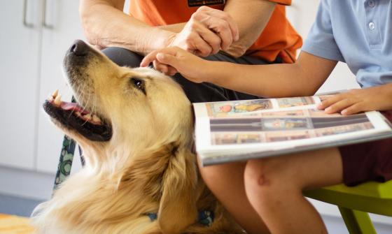 An adult and child reading a book with a dog sitting between them.