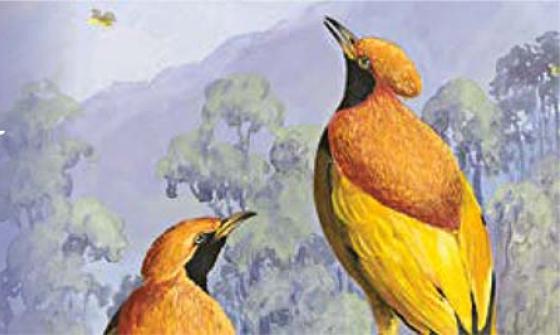 Masthead for the Friends of the National Library newsletter